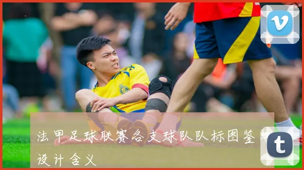 法甲足球联赛各支球队队标图鉴与设计含义