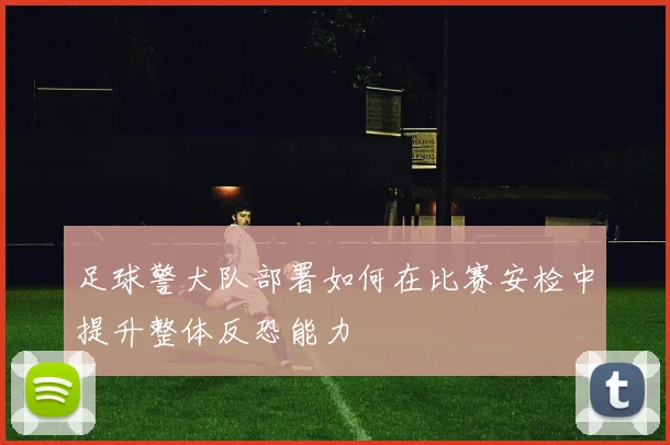 足球警犬队部署如何在比赛安检中提升整体反恐能力